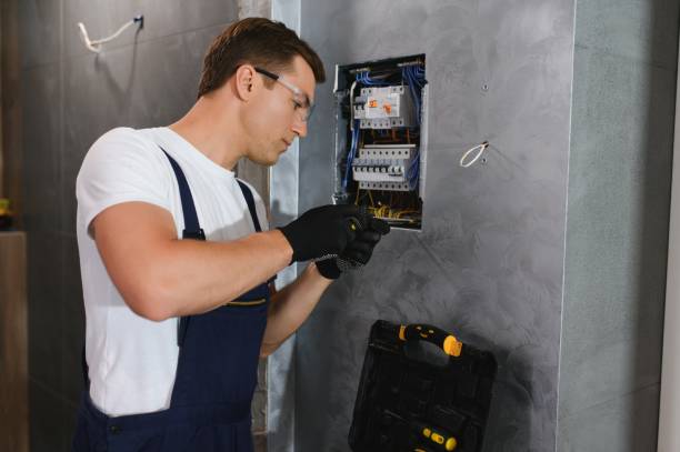Best Electric Panel Repair  in Albertville, MN