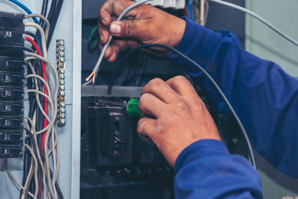Best Ceiling Fan Installation Electrician  in Albertville, MN